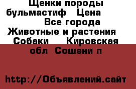 Щенки породы бульмастиф › Цена ­ 25 000 - Все города Животные и растения » Собаки   . Кировская обл.,Сошени п.